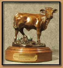 "Buster" A Longhorn Bull Calf